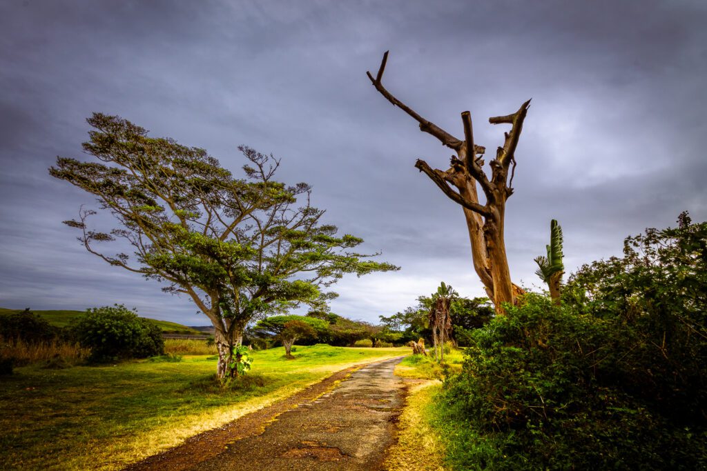 Broken Road - Good Photographers Journey